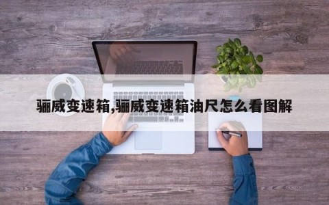 骊威变速箱,骊威变速箱油尺怎么看图解