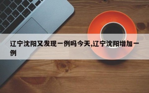 辽宁沈阳又发现一例吗今天,辽宁沈阳增加一例