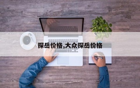 探岳价格,大众探岳价格