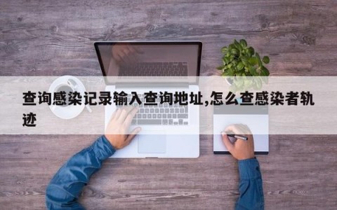 查询感染记录输入查询地址,怎么查感染者轨迹