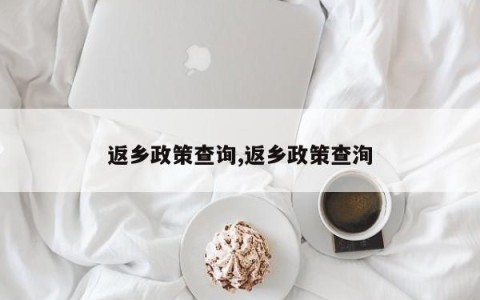 返乡政策查询,返乡政策查洵