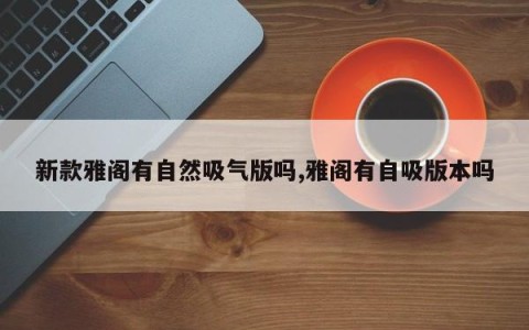 新款雅阁有自然吸气版吗,雅阁有自吸版本吗
