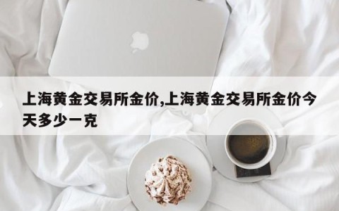 上海黄金交易所金价,上海黄金交易所金价今天多少一克