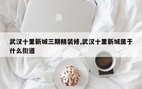 武汉十里新城三期精装修,武汉十里新城属于什么街道